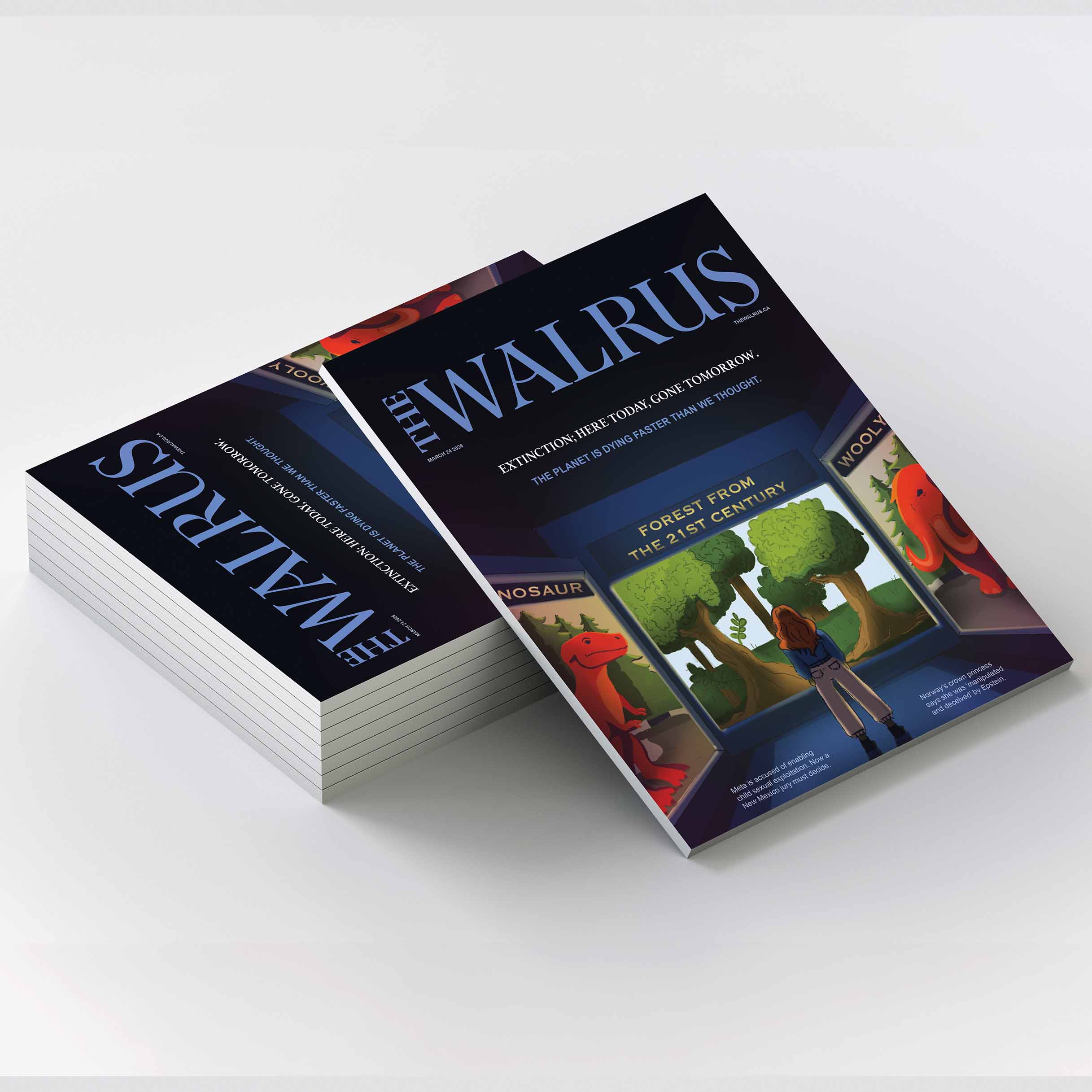 mock up of cover
